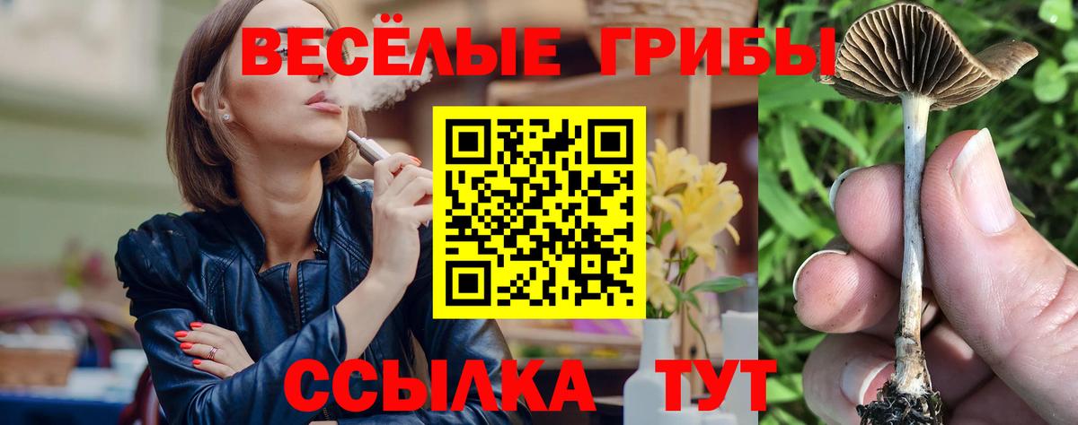 Минусинск  где продают   Вход с VPN  Псилоцибиновые грибы Psilocybine cubensis 